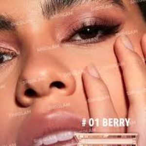 پالت سایه 12 رنگ شیگلم مدل Berry
