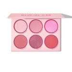 پالت رژگونه شیگلم مدل 6 رنگ